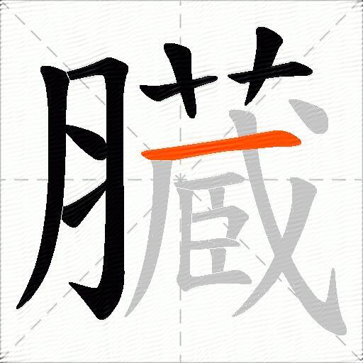 臓