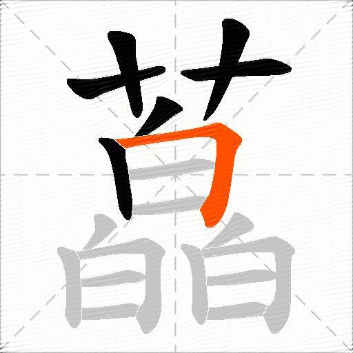 藠