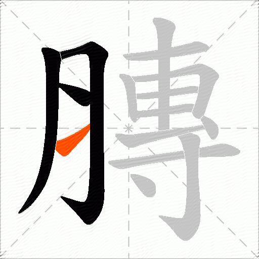 膞