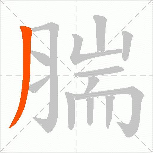 腨