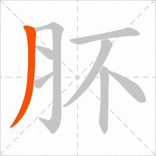 肧