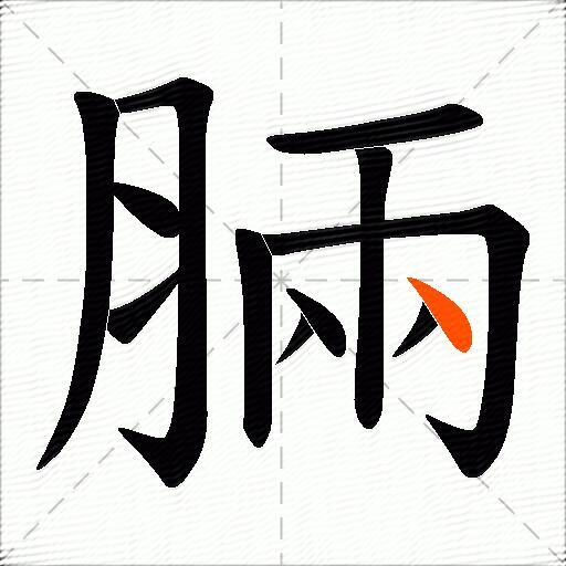 脼