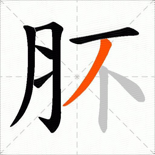 肧