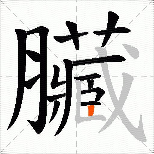 臟