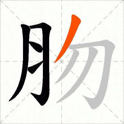 肳