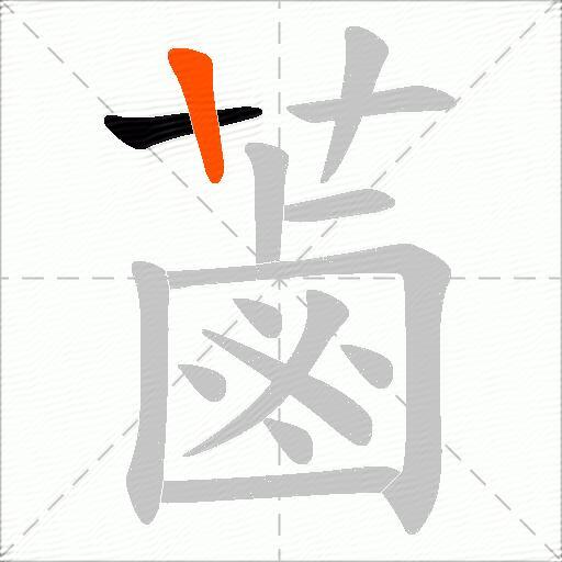 蓾