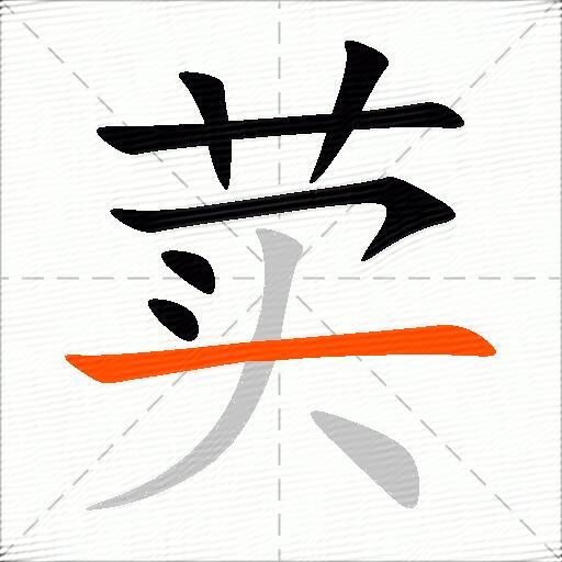 荬