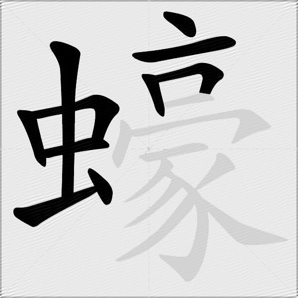 蠔