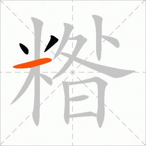 糌