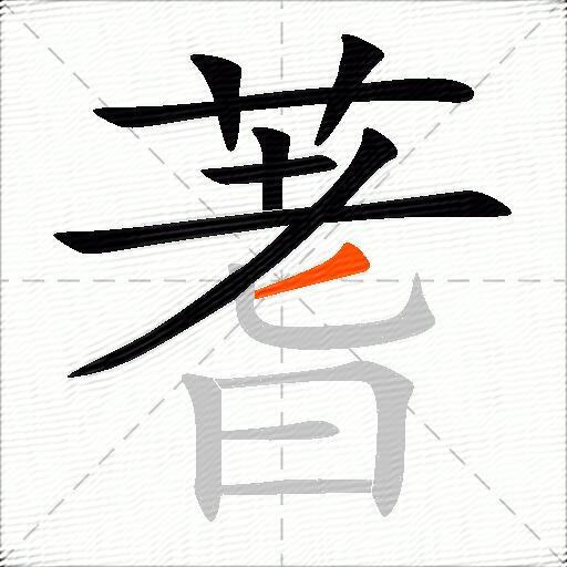 蓍