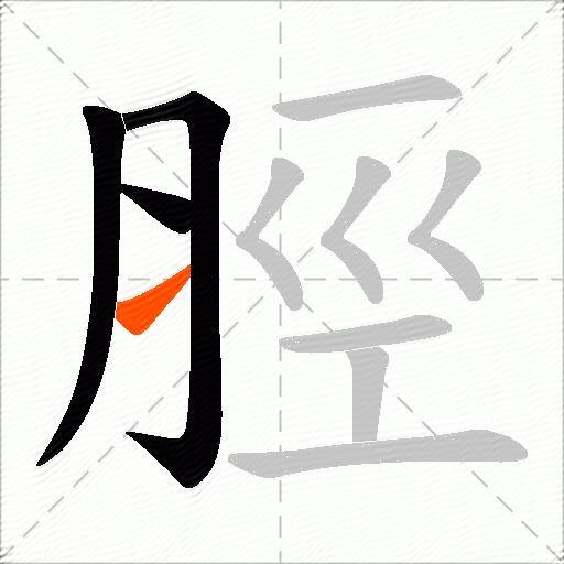脛