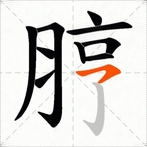 脝