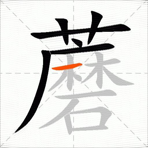 蘑