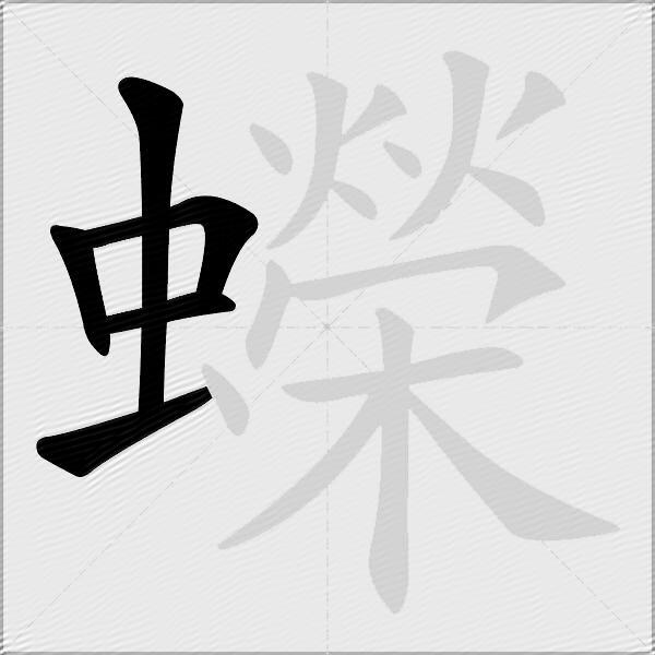 蠑