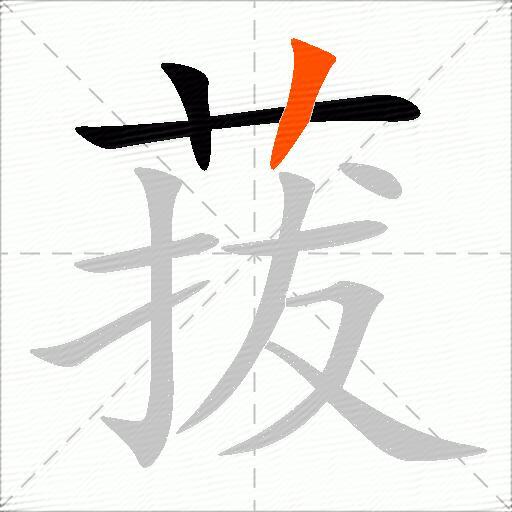 菝