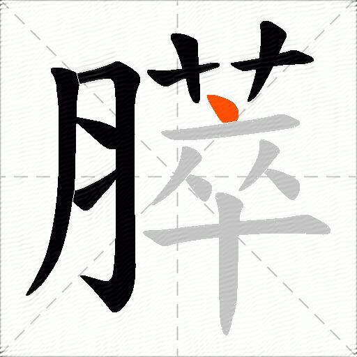 膵