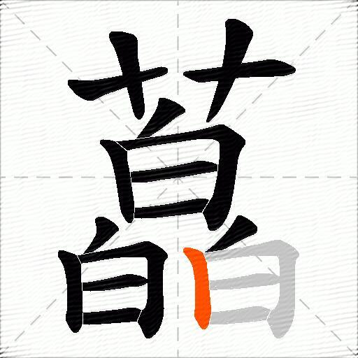 藠