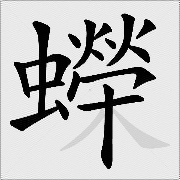 蠑