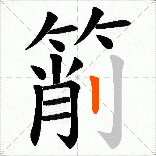 箾