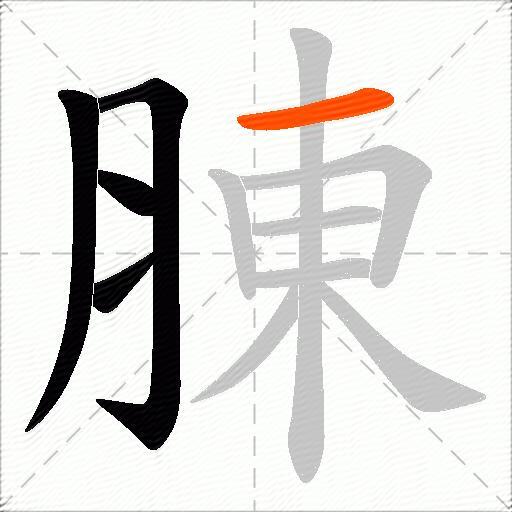 腖