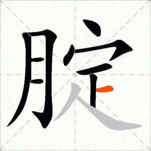 腚