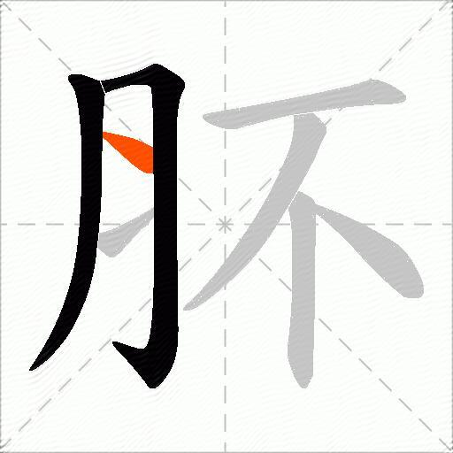 肧