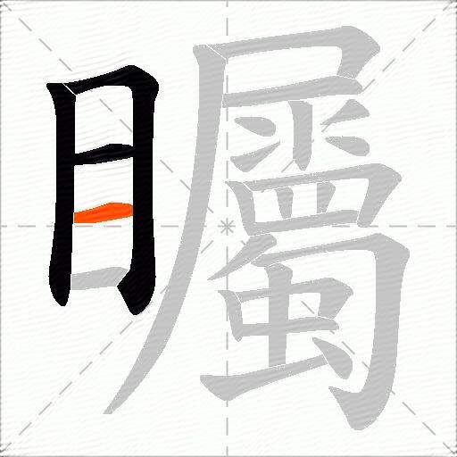 矚
