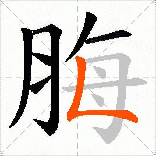 脢
