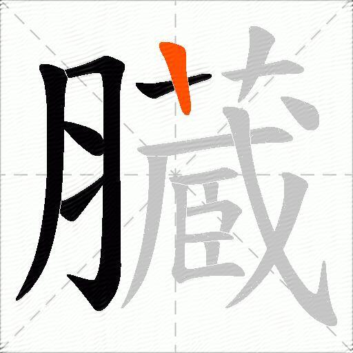 臓