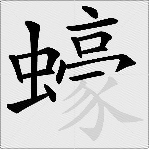 蠔