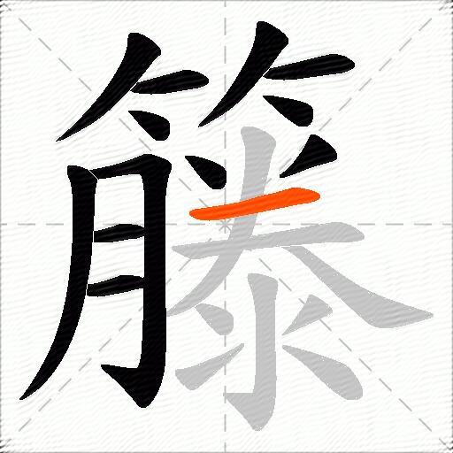 籐