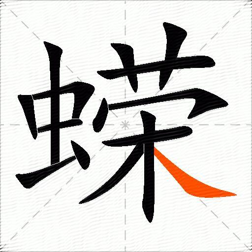 蝾