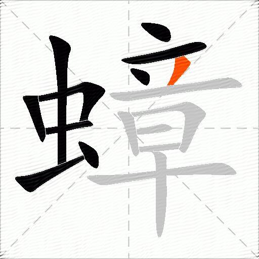 蟑