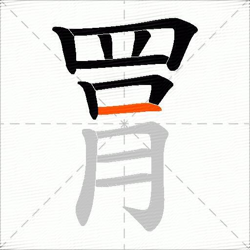 罥