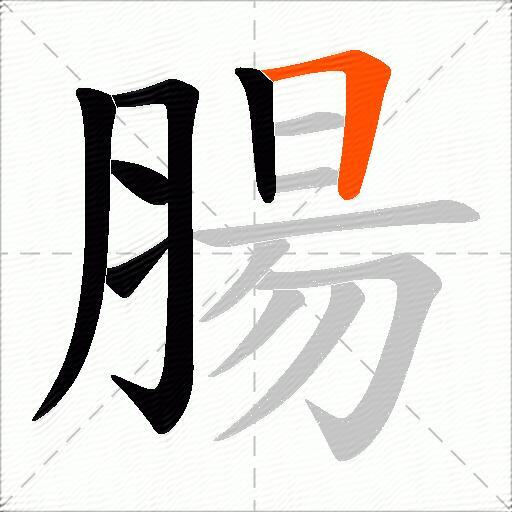 腸