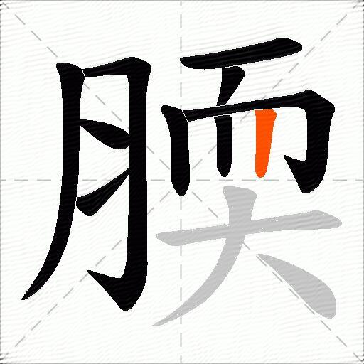 腝