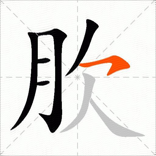 肷