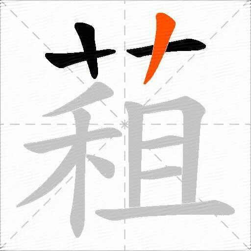 蒩