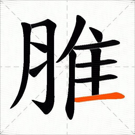 脽