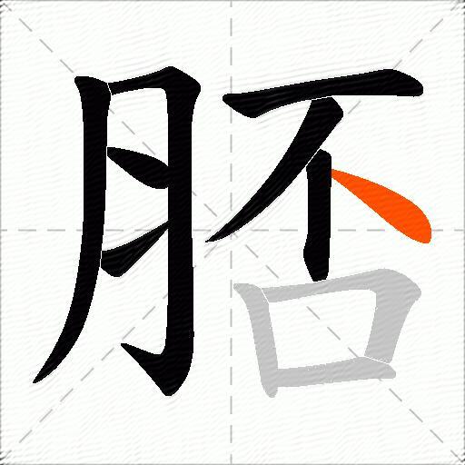 脴