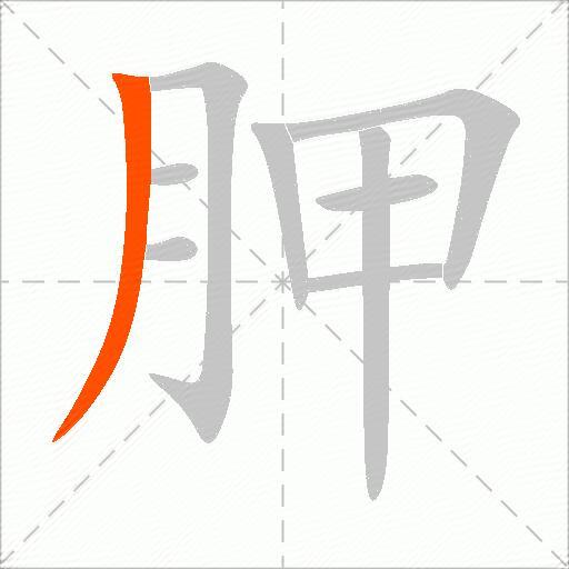 胛