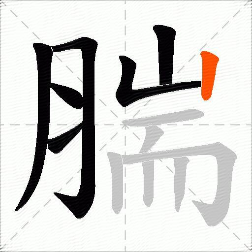 腨