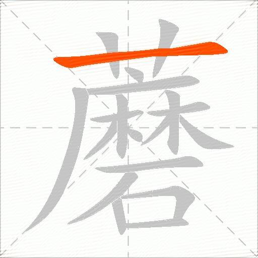 蘑
