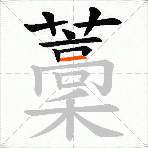 藳