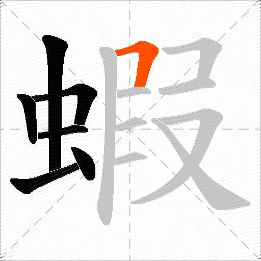 蝦