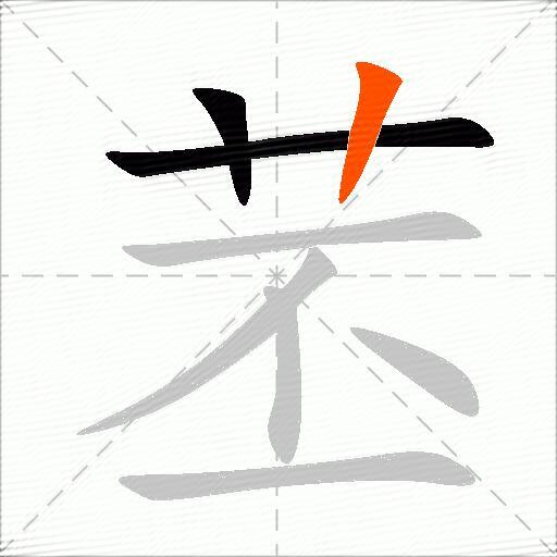 苤