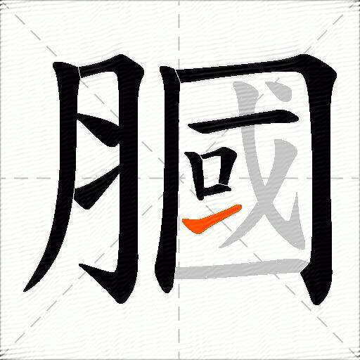 膕