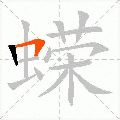 蝾