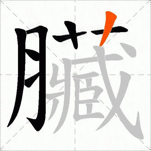 臟