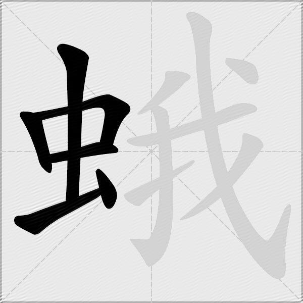 蛾